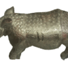 rihno