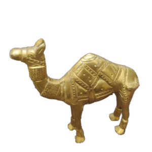 Camel