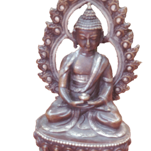 Amitabh Buddh with Purva