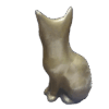 Cat - Image 2