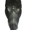 rihno - Image 2