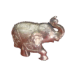 Image20220606135753
