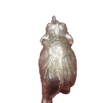 Image20220606135759