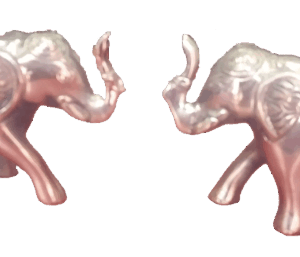 Elephant( two elephant toward face)