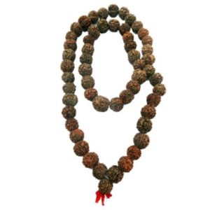 Big Rudraksha Necklace