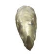 image (1)