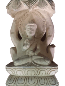 Amoghasiddhi Buddha