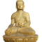 image (11)