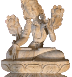Tara-1