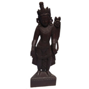 Standing Lokeshwor