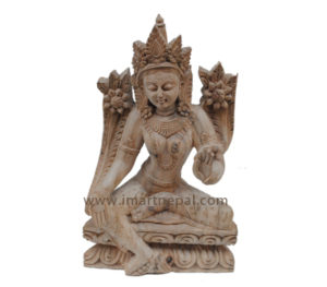 Tara