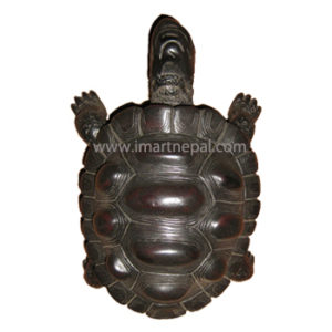 Wooden Tortoise